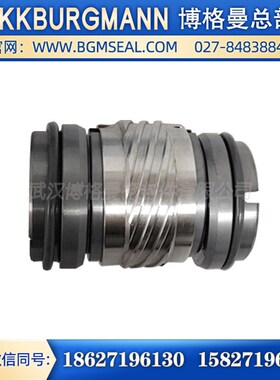M74F-D/85-00石油工业泵 化工水泵 博格曼双端面螺纹机构机械密封