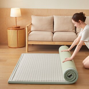 夏季 加厚凉感睡垫冰丝凉席榻榻米大炕地铺睡垫客厅地垫飘窗垫跨境