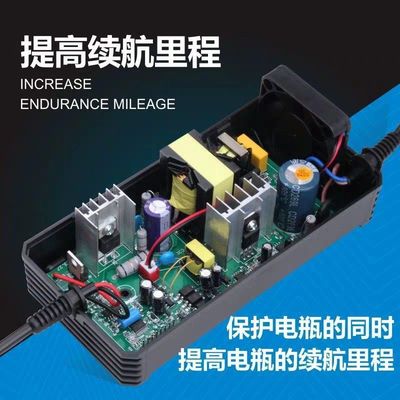 奔的魅力电动车充电器48V12AH20AH54.6V2A小公插新国标铅酸锂电池
