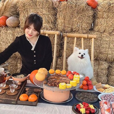 自然风草垛南瓜布置稻草堆拍摄道具 农场露营草墩秋景万圣节摆设