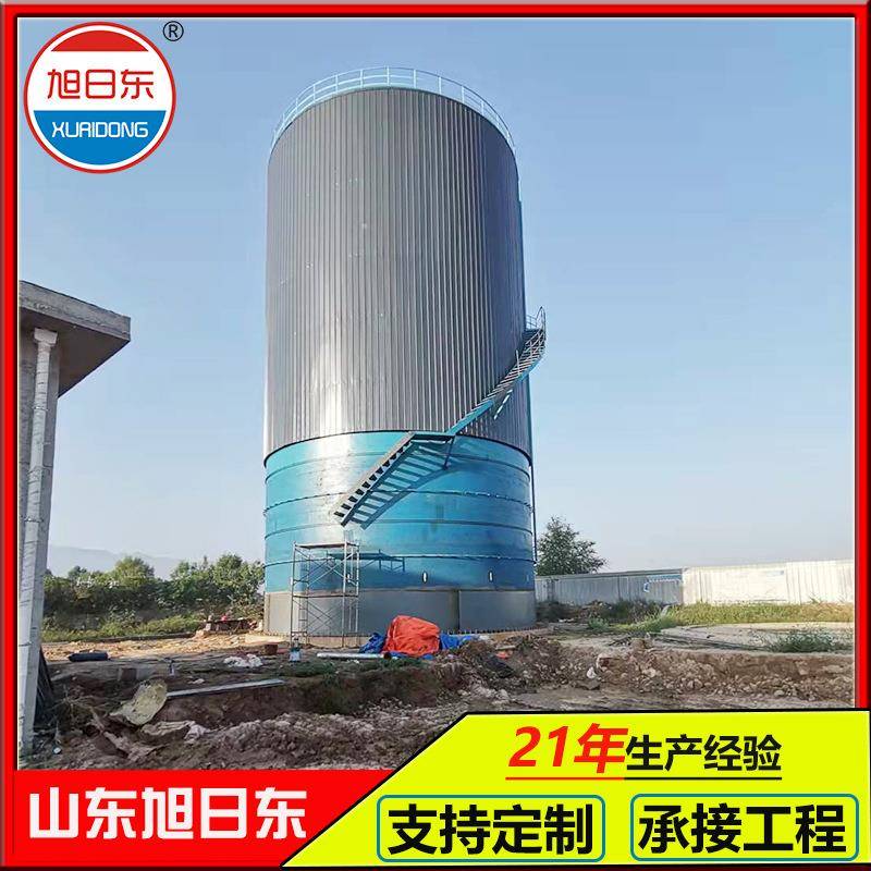 厌氧塔反应罐IC厌氧罐食品厂污水处理设备餐厨垃圾处理设备