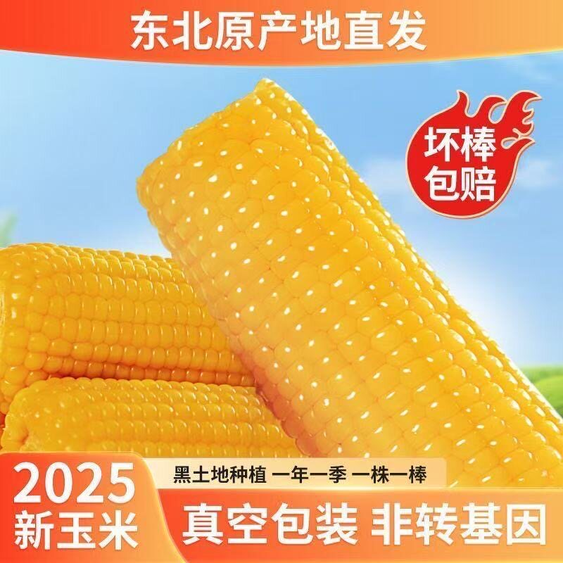王老宝东北黄糯玉米新鲜真空玉米