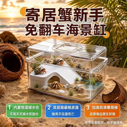 爬宠水陆两用饲养透气带晒台造景