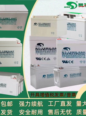 赛特蓄电池BT-12M 12V17AH24AH33AH38AH55AH65AH150AHAC直流屏UPS