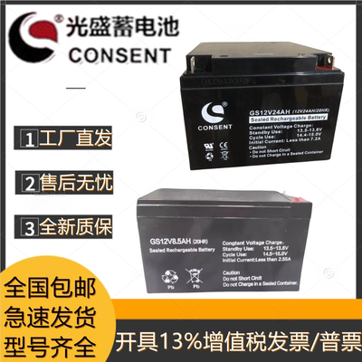 光盛蓄电池GS12V24AH机房应急用