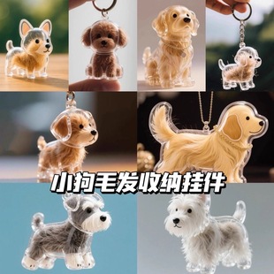 透明小狗毛发胶囊收纳盒动物狗狗可爱挂件装饰纪念防尘盒收集玩具