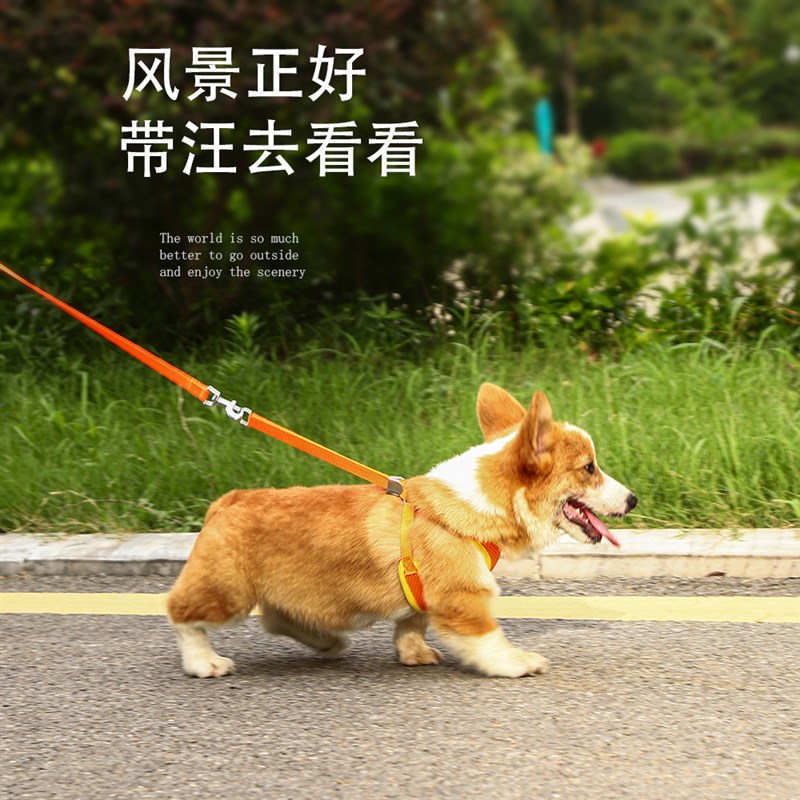 狗狗牵引绳背心式胸背带溜小型中型大型犬宠物狗绳金毛链子防咬断