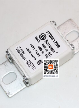 巴斯曼170M1750 1751 1752 1753 170M1754 1755 1756直流熔断器