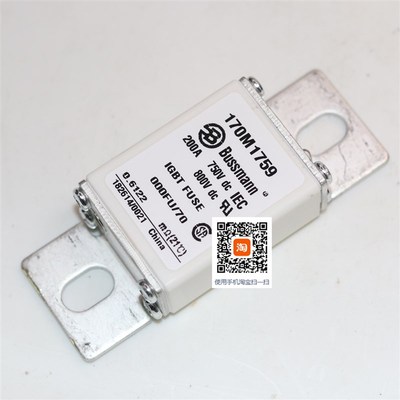 巴斯曼170M1750 1751 1752 1753 170M1754 1755 1756直流熔断器