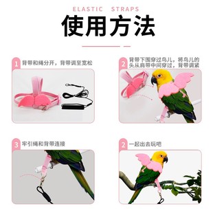 玄凤鹦鹉背带式 放飞绳超轻虎皮用品鸟用外出遛鸟牵引飞行溜鸟神器