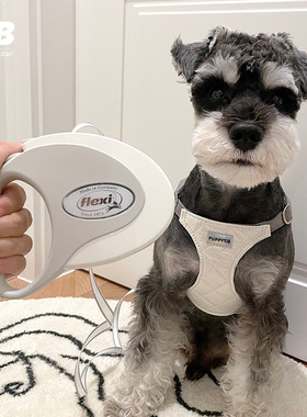 福莱希style系列宠物狗狗猫狗伸缩牵引绳胸背遛狗绳中小型犬带状