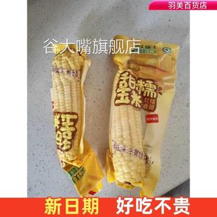 金沃瑞丰新鲜甜糯玉米粘黏非转基因粗粮有机白糯玉米8支真空装