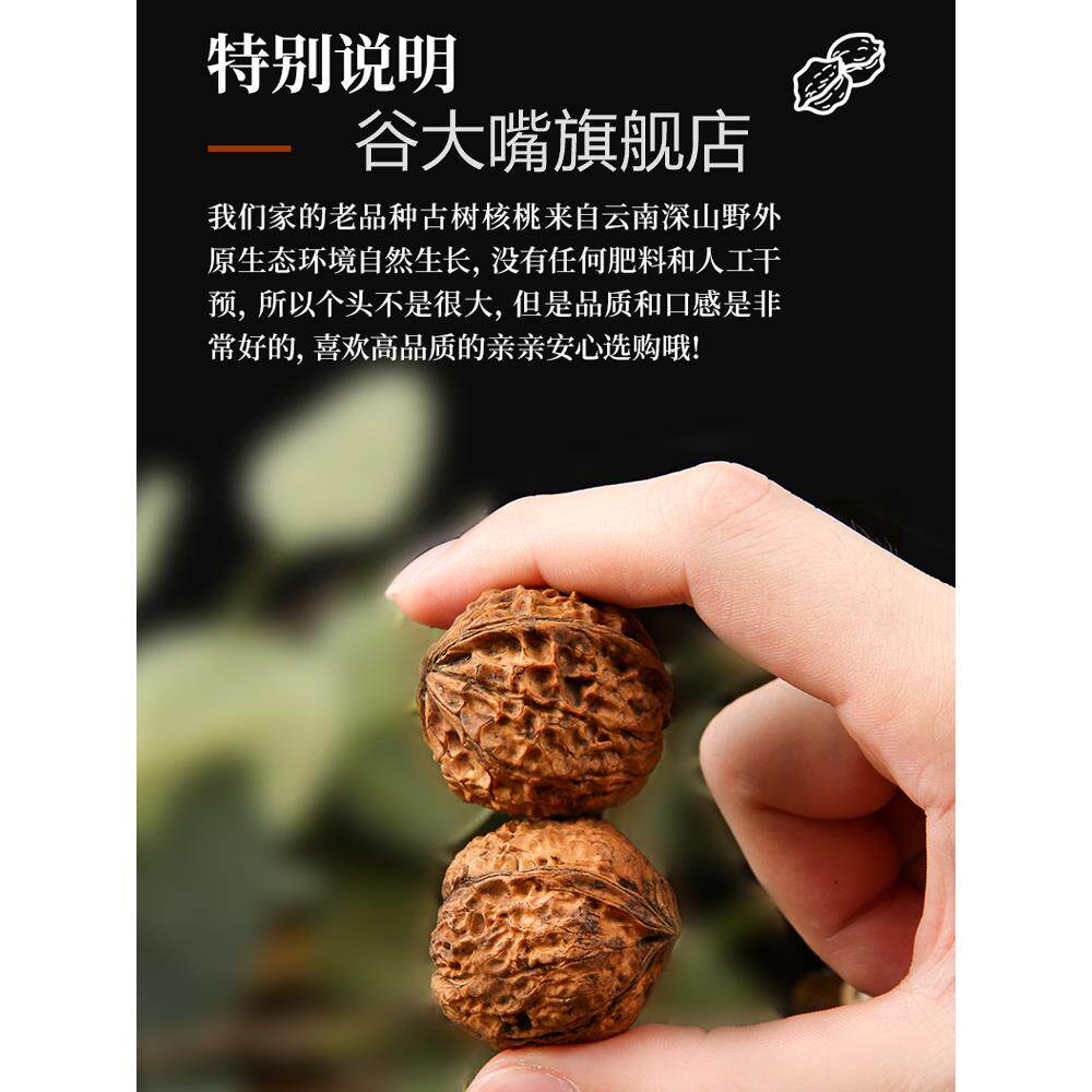 云南古树丑核桃新货高山野生纸皮无漂洗干核桃孕妇小孩散装