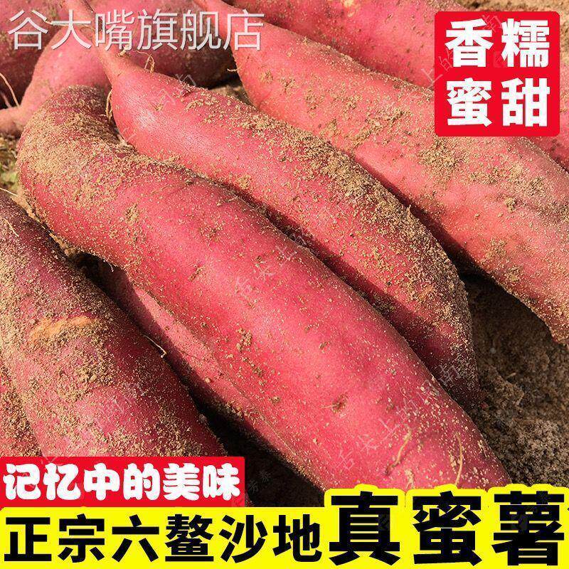 福建六鳌红蜜薯带箱10斤新鲜红心红薯沙地番薯农家自种小地瓜山芋