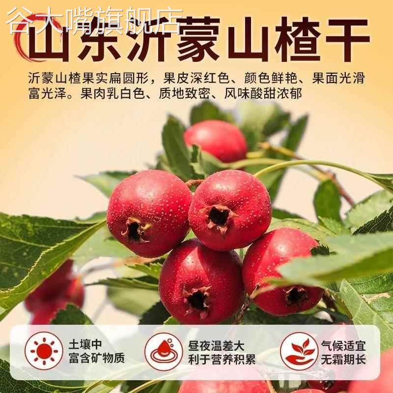 蓝莓夹心桑葚果片山楂片无蔗糖酸甜开胃解腻养颜养气色休闲零食