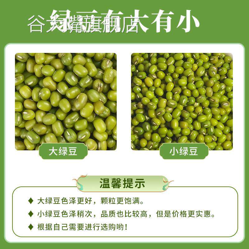 新货绿豆5斤四川农家新鲜生豆芽专用新绿豆汤材料绿豆粥豆子杂粮