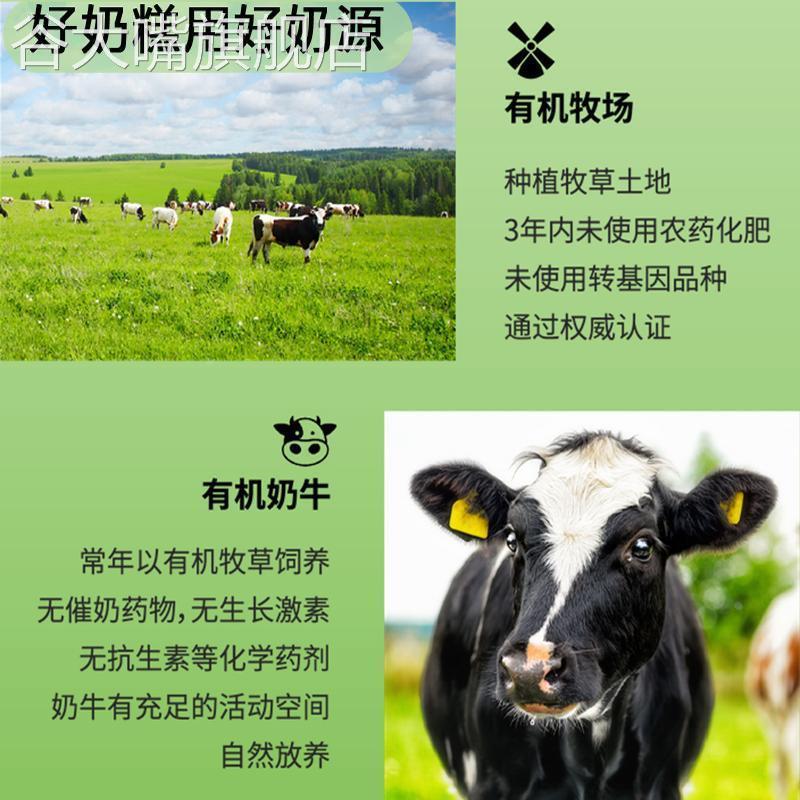 哈尔滨酸奶糕干巴酸奶糕噎希腊厚切石膏干嚼冷萃固体奶酪奶油特产
