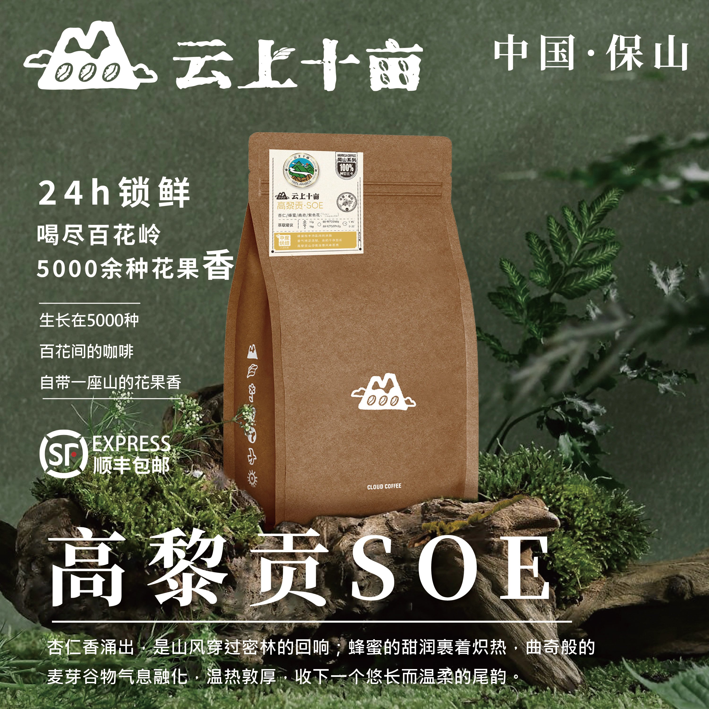 云上十亩 云南高黎贡SOE精品手冲意式咖啡豆新鲜烘焙可现磨粉227g图片