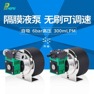 抽水泵微小型隔膜液泵12V可调速自吸24V无刷气液两用泵高压水泵