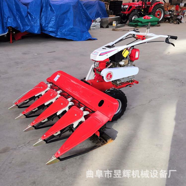 柴油动力手扶四行割晒机自动铺放稻麦收割机牧场用苜蓿草收割机