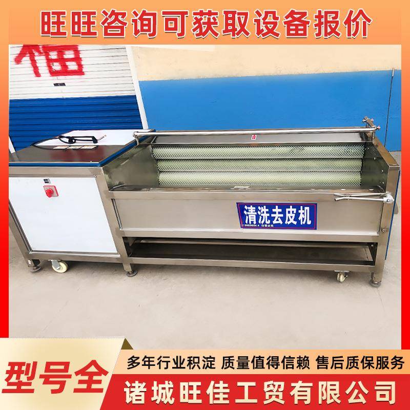 商用毛辊清洗设备贝壳类海鲜清洗机扇贝生蚝毛蛤毛刷清洗机