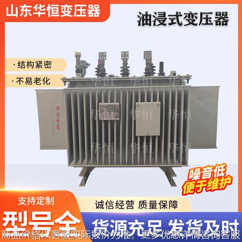 20/22油浸式变压器/800/1000/125010电力变压器低损耗