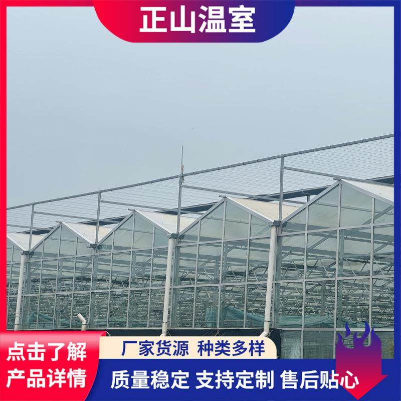 厂家生产玻璃温室大棚工程蔬菜瓜果种植跨度大智能玻璃温室大棚,畜牧/养殖物资,特种养殖设备,淘宝优惠券,粉丝福利购,淘宝优惠卷