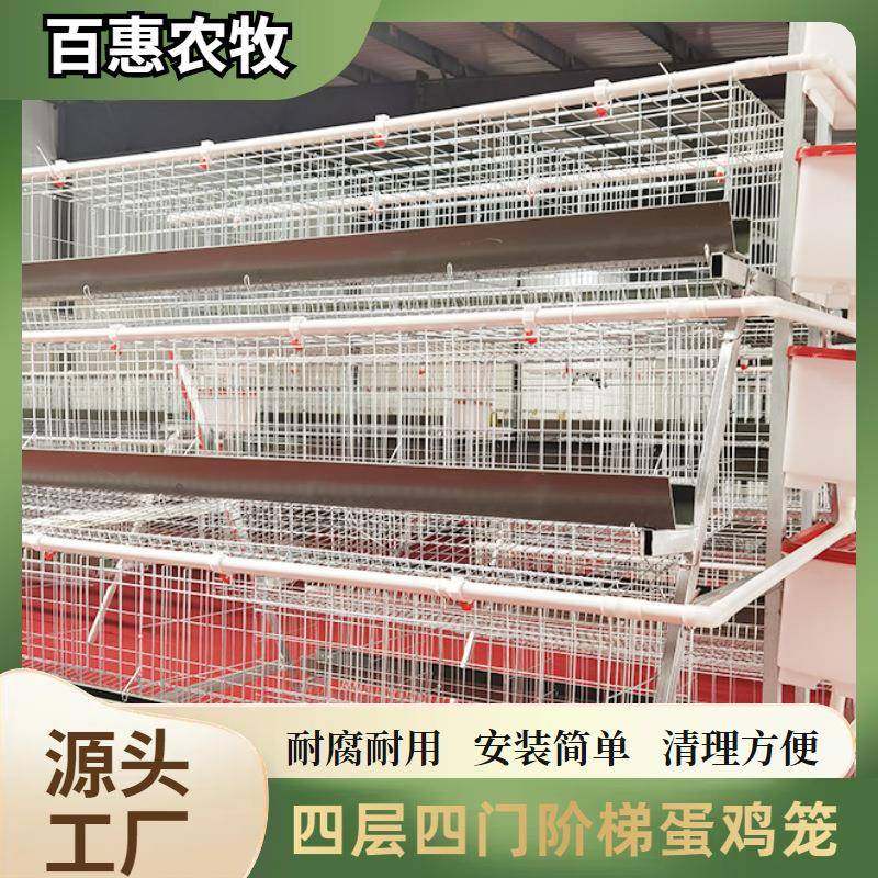 养殖场用层叠式四层四门蛋鸡笼设备镀锌多层阶梯式笼养鸡设备厂,畜牧/养殖物资,特种养殖设备,淘宝优惠券,粉丝福利购,淘宝优惠卷