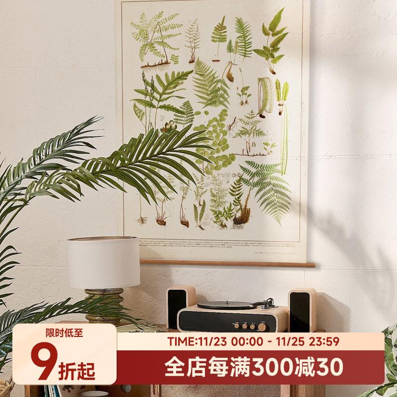 伽罗生活 博物画客厅挂画卧室装饰画 蕨类植物卷轴画儿童房艺术画