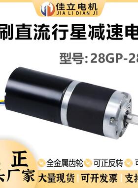 28GP-2838行星齿轮直流无刷减速电机12v24v调速微小型大扭力马达