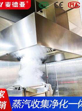 不锈钢蒸汽净化一体机 食品加工 中央厨房 蒸汽冷凝热能回收设备