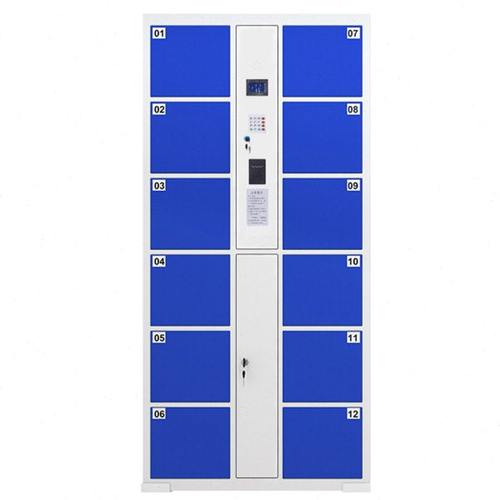 臻远 ZYDZ-004 人脸识别智能存包柜12门副柜 1800*850*460 灰白色