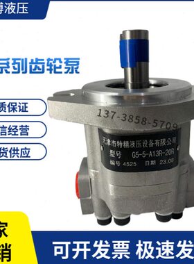 天津特津G5-5-A13R-20R齿轮泵G5-10/6/8/12/16/20/25/30 AH13F-20