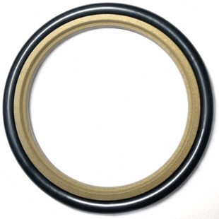 384.5 8.1 374.5 404.5 斯特封轴用格莱STd350 380 370 360 394.5