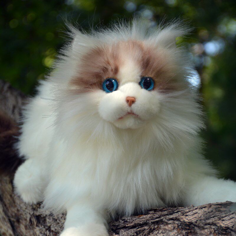 仿真猫咪毛绒玩具可o爱布偶猫公仔白色长毛猫玩偶布娃娃送儿童礼