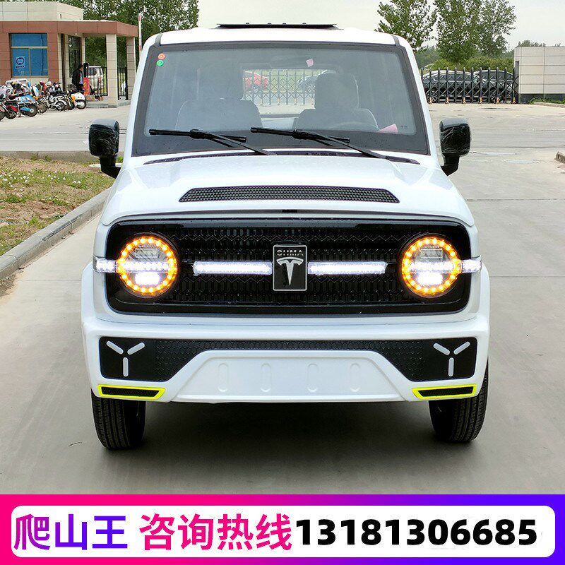 四轮电动汽车新能源老头乐新款家用女士成人代步小型油电两用轿车