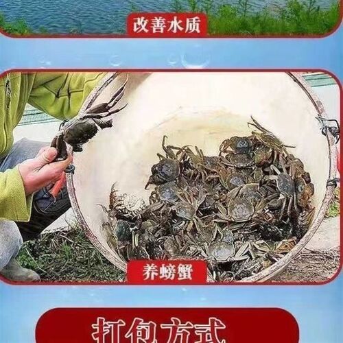 红糖养殖50斤工业红糖水产养殖农业种植EM菌培发酵水肥污水处