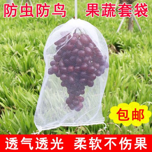 水果葡萄套袋防虫j防鸟白色纱网袋子透气防果蝇套树苗枇杷果树网