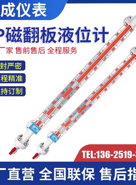 PP磁翻板液位计水位计浮球带远传4-20Ma玻璃管侧Y装顶装不锈钢
