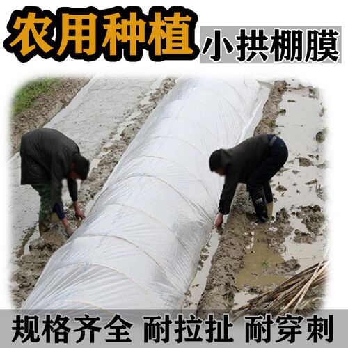 薄膜农用地膜种植白色塑t料布种菜专用小拱棚农业用防草防水白地