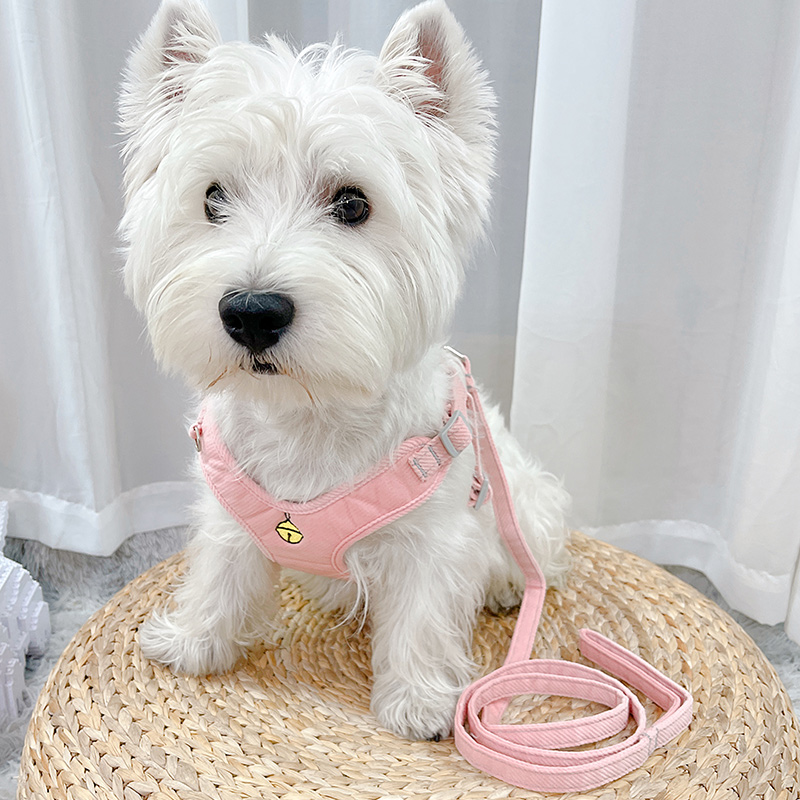 猫咪狗狗牵引绳狗绳猫绳遛猫绳遛狗胸背带小狗背带背心式防挣脱