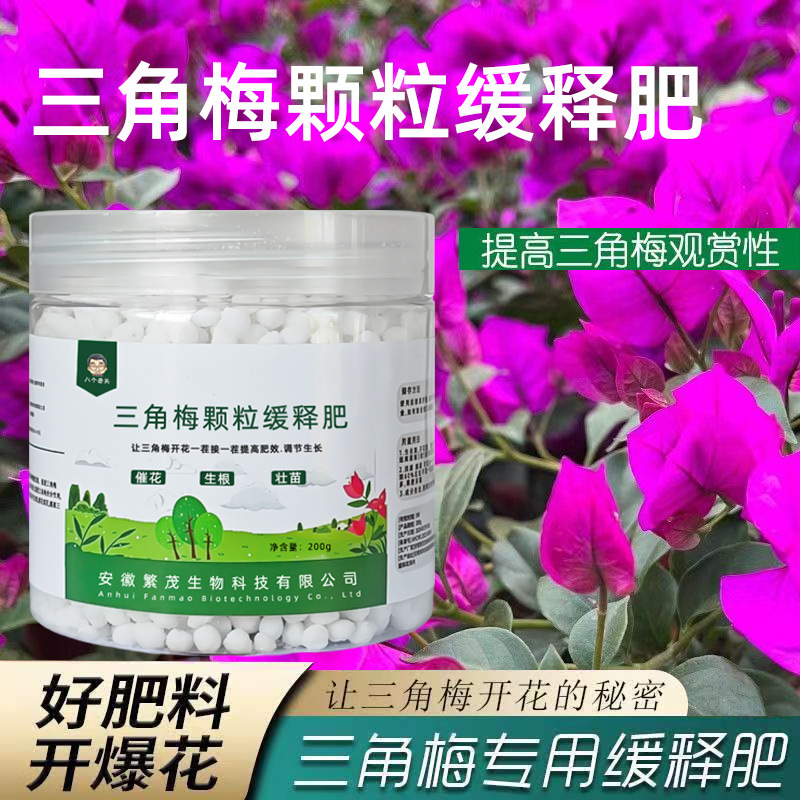 三角梅肥梅花黄叶三角梅施肥盆栽盆景颗粒缓释肥梅花通用园艺