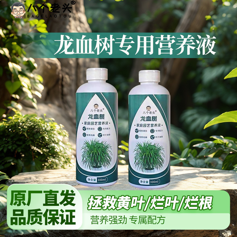 厂家供应八个老头龙血树营养液室内盆栽肥料花卉植物通用型