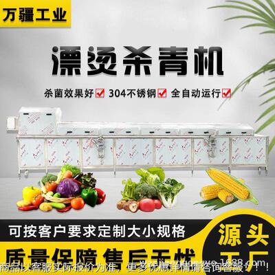 货红薯叶漂机 蒸烫汽现式藕片煮冷却机 清水蕨菜加UDD工流水蒸线