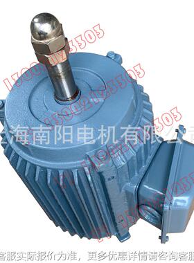 供应电机Y100L2-8 1.5W三相异步电机 油风冷电机