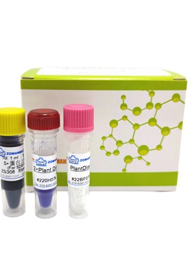 教学用PCR试剂盒 PCR教学试剂盒 带800bp片段模板引物一站式