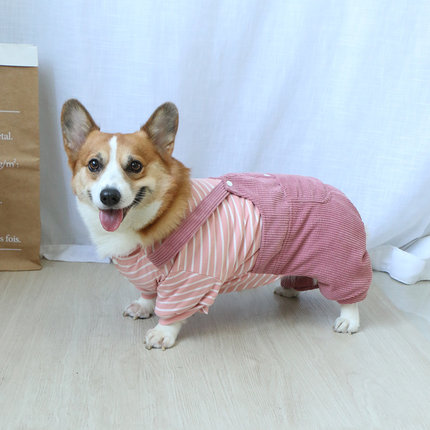 柯基狗狗衣服秋冬秋装冬装四脚冬季可爱加厚宠物S泰迪小型犬中型