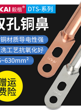 双孔铜鼻子DTS25/35/70/95/120/150/185/240/300平方线耳接线端子