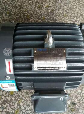 东元电机TEGH100L1-4 3HP 2.2KW 1455r/min 220V/380V AEEFF3