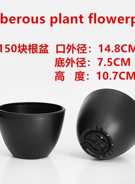 加厚日式黑胶盆块根盆园艺花卉植物绿植花盆龟甲龙仙人球龙舌兰盆